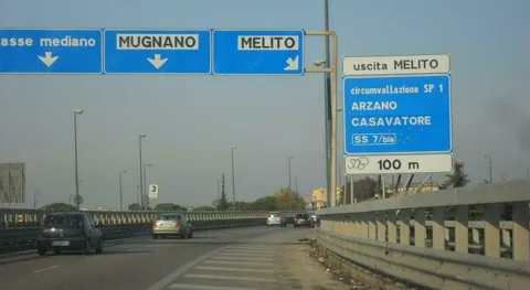 Asse Mediano, la nuova rapina delle auto con i topi: l'allarme scattato sui social. �Ecco cosa fanno�