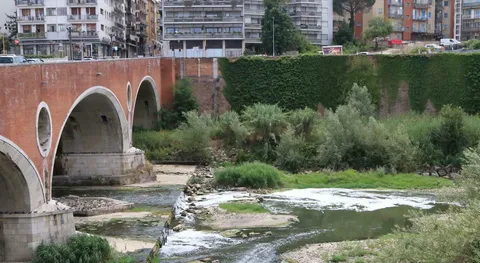 Fiume Calore, schiuma e pesci morti nell?acqua: ora indaga la Procura