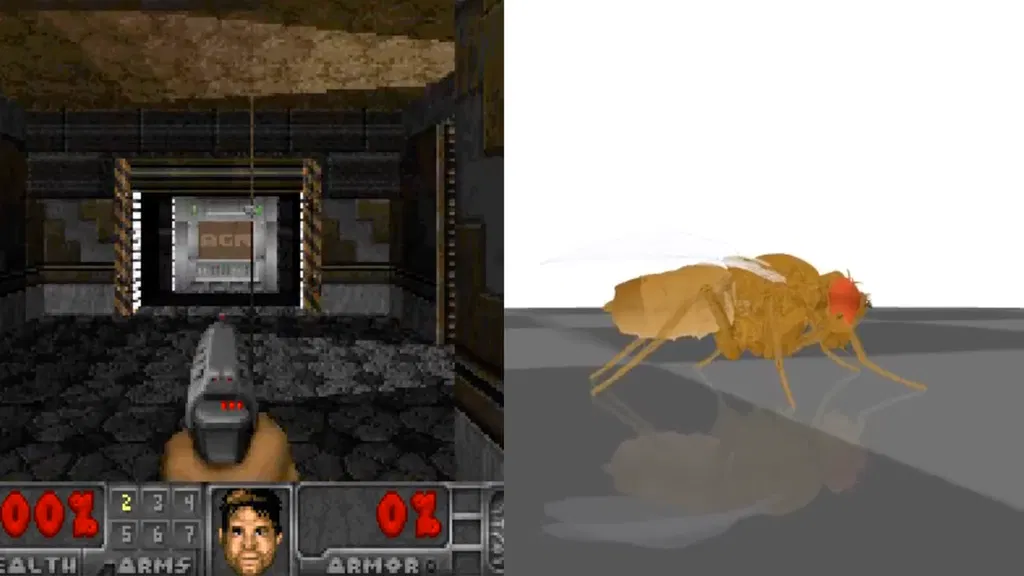 Google researchers help develop the first complete digital map of an adult male fruit fly's brain, which modders programmed to play Doom, trade BTC, and more (Becky Ferreira/404 Media)