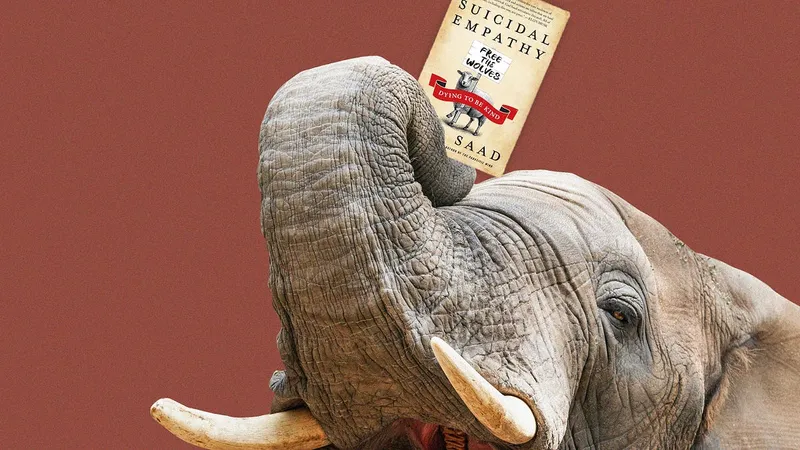The Smugness of Anti-Empathy Politics