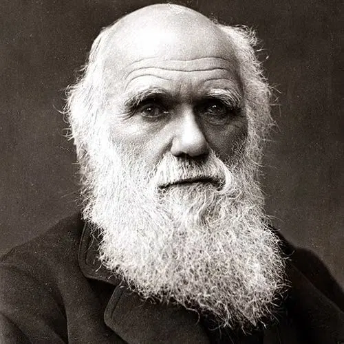 Darwin and AI