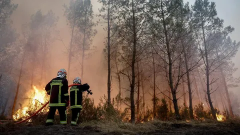 Inside the wildfire crisis raging across France and Spain | Explained