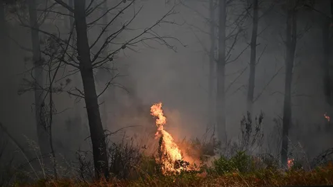 Wildfire leads to evacuations in some suburbs of French city of Bordeaux