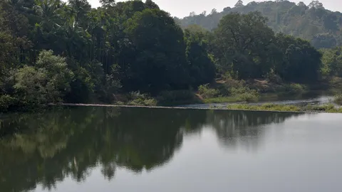 Union government returns Karnataka's request for wildlife clearance for Mahadayi basin projects, calling it sub-judice