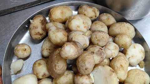 Fungal-contaminated vegetables, hygiene violations flagged at Hyderabad’s Hotel Sweekar