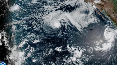 Genevieve becomes a Category 5 hurricane but is not expected to make landfall