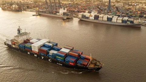 Search for 17 missing crew after Vietnamese cargo ship sinks in South China Sea