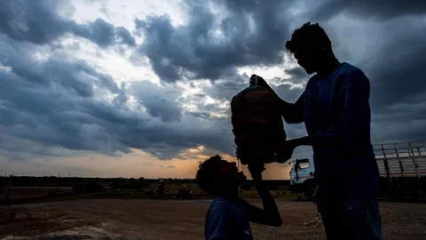 Depression in the Bay may bring isolated heavy rainfall to North Andhra Pradesh