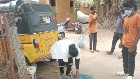Tiruchi Corporation to intensify anti-rabies vaccination drive for stray dogs