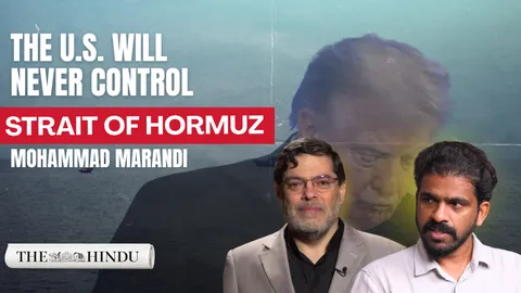 Watch: Iran is prepared for U.S. ground invasion: Mohammad Marandi