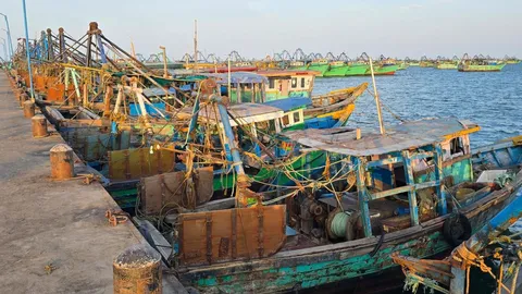 Fishermen observe one-day strike demanding release of peers arrested by Sri Lanka Navy