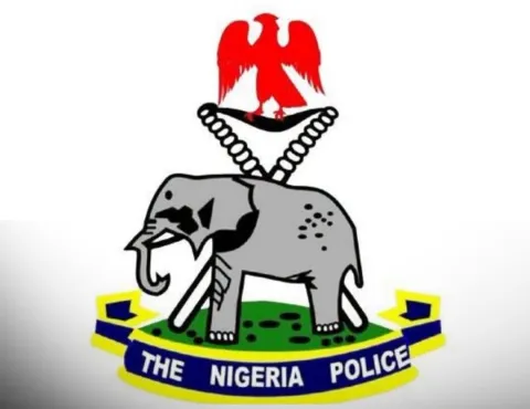 IGP Disu never ordered police to shoot illegal firearm holders — NPF