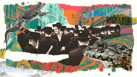 The orthodox Jews tripping on toad toxins