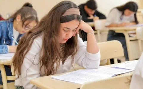 Magistraturaya ixtisaslaşma seçiminin vaxtı uzadıldı