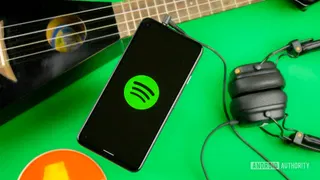 Spotify could soon fix a major storage issue that users have complained about for years