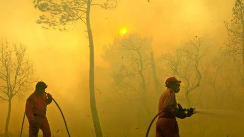 Incendi record in Francia e Spagna, quasi 300mila evacuati