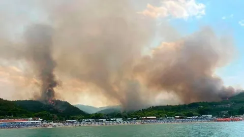 Huge wildfire in Puglia's Gargano area under control says mayor