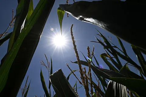 “In arrivo la quarta ondata di calore. Durerà fino al 7-8 agosto”