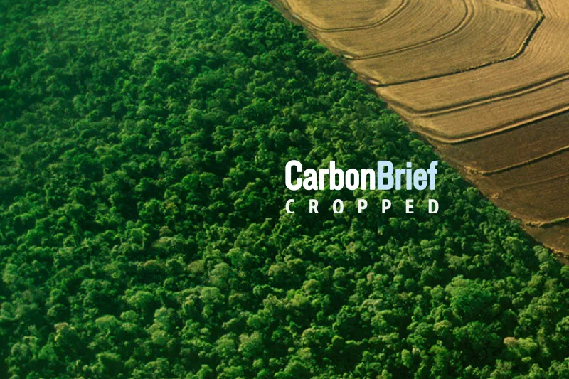 Cropped 3 June 2026: Highway through the Amazon | El Niño impact | State of CO2 removal