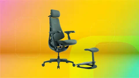 Give Your Lumbar Some Love With a LiberNovo Chair While They’re Down by up to 44%