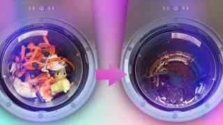 This Device Can Cut Food Waste by 90%, and It’s Smaller Than a Microwave