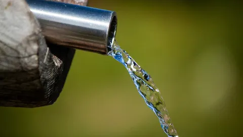 El Banco Mundial reporta que la gestión eficiente del agua en la agricultura puede generar hasta 245 millones de empleos globales