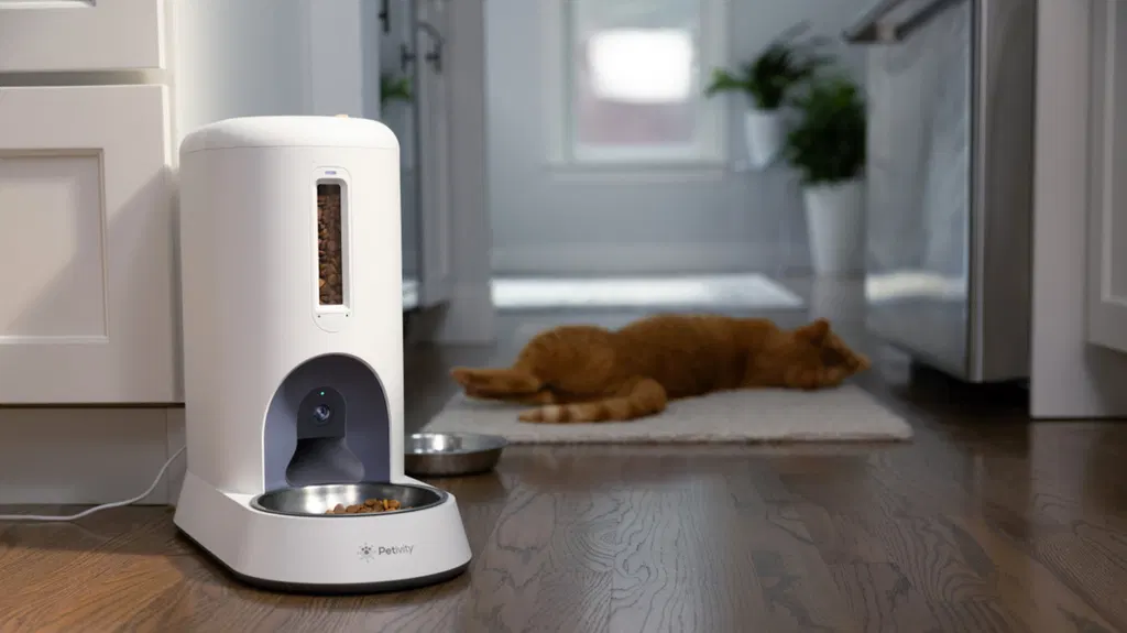 Petivity's new smart feeder asks the question 'what if Flock, but for cats?'