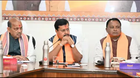 BJP brass cracks whip, tells Odisha unit to get active ahead of panchayat polls