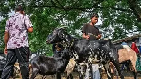 Chhattisgarh Waqf Board urges Muslims to avoid sacrifice in open, public places