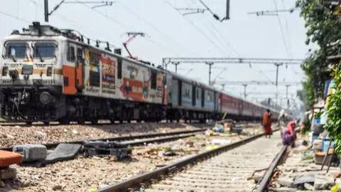 54,000 trees felled for railway line in MP, but now probe ordered into dangerous alignment