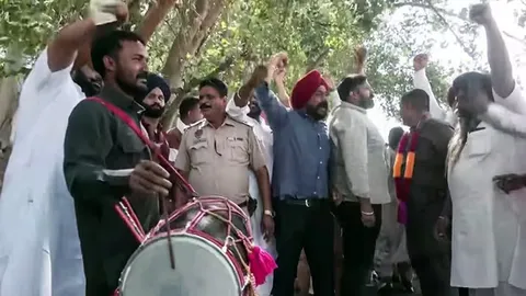 Punjab civic body poll results LIVE: Counting to begin shortly; Mohali, Zirakpur among 102 seats in fray