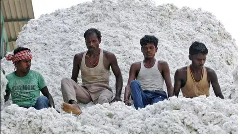 Govt exempts cotton import duty for five months till October 30