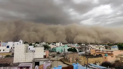 Day turns dark as massive dust storm engulfs parts of Rajasthan, winds touch 80 kmph | Video