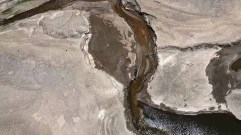 80% chance of El Nino forming between June and August, warns World Meteorological Organisation