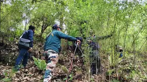 Search for missing Uttarakhand trekker enters fifth day