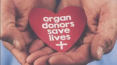 Mother’s claim to child should not be casually doubted: Madras HC on organ donation