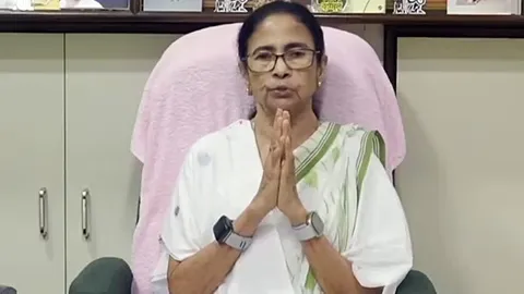 'Mamata not merely an adviser': Dissent grows in rebel TMC camp after Ritabrata Banerjee's proposal