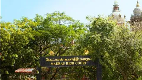 Madras HC directs Tamil Nadu govt to form SIT in pregnant woman death case