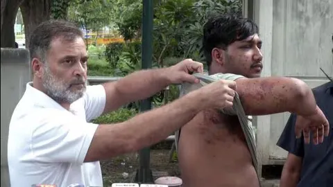 Police daily diary entry confirms pellet gun use during CJP Parliament march
