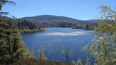 Wunderschöner See in Niedersachsen erfüllt einen speziellen Zweck