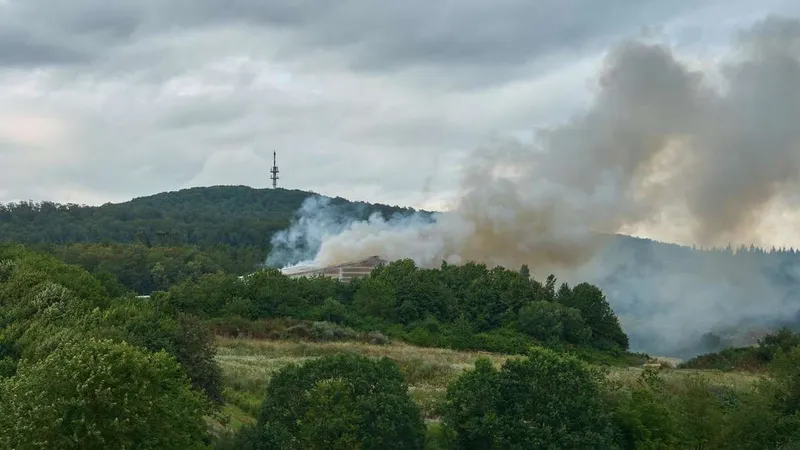 Brand im Biokompost: Feuerwehr rückt mit Sirenenalarm aus