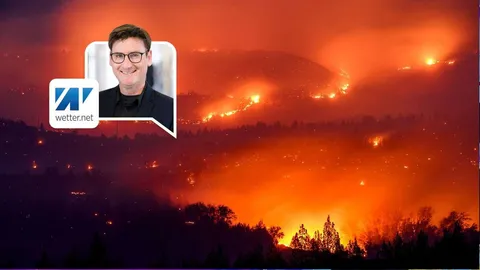 Deutschland wird zum Pulverfass: Kann es bei uns zu Waldbränden kommen?