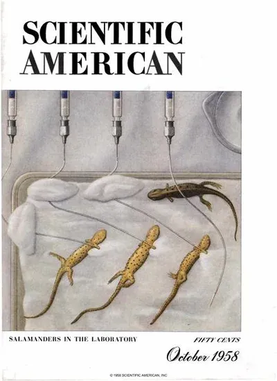 Goodbye, Scientific American