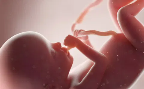 Kentucky defends state’s abortion ban against judge’s challenge