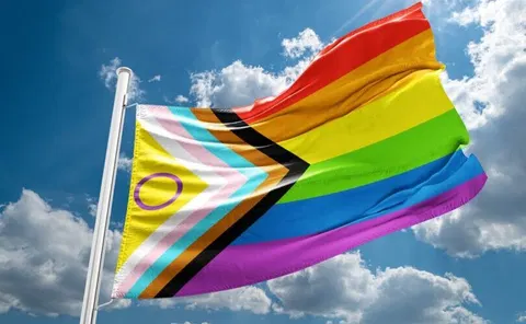 The true story of how National ‘Pride’ Flag Walk-Out Day led Alberta to ban them from schools
