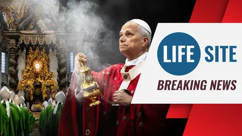 BREAKING: Pope’s Classmate Exposes Vatican Synodality Document as ‘The Great Deception’