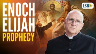 Unpacking Fr Ripperger End Times Breakdown with Shawn Ryan