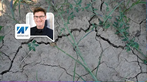 Nächste Hitzewelle steht vor der Tür – und trockene Böden könnten Temperatur noch zusätzlich steigen lassen