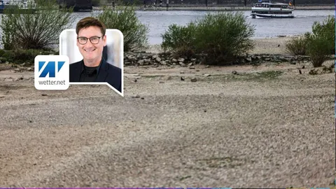 Trocknet der Rhein aus? Pegel fällt auf acht Zentimeter – so früh war es noch nie so kritisch