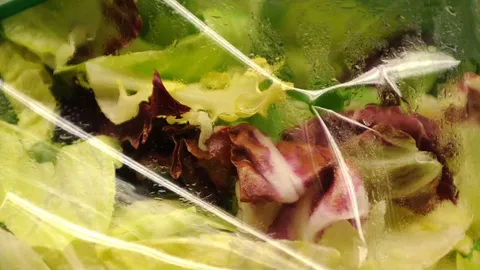 Abgepackter Salat im Verdacht: Ex-FDA-Chefin warnt vor größtem Cyclospora-Ausbruch aller Zeiten